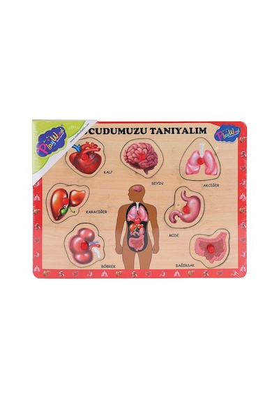 Ony-287 288 Ahşap Tutmalı Vücumuzu Tanıyalım -eco Lounge