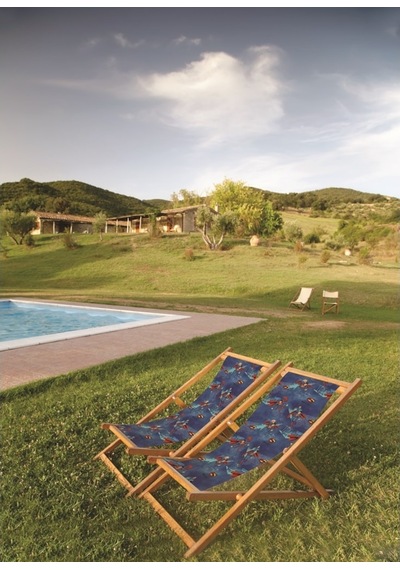 Bluehomeconcept Adawall Home Blue Superman Şezlong