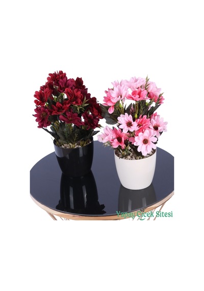 Yapay Çiçek Sitesi Plastik Saksıda Yapay Katmerli Papatya Tanzimi 2'li Set 25 Cm Bordo - Fuşya Pembe