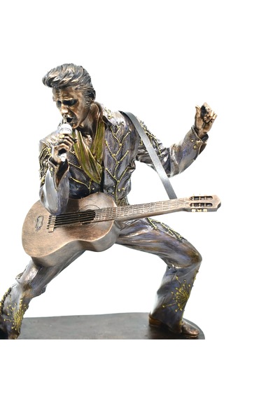 Rock'n Roll'un Kralı Elvis Presley Biblosu