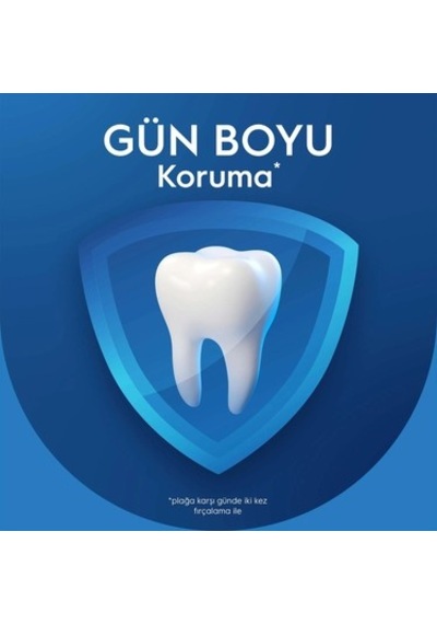 75 Ml Nane Aromalı Koruyucu Diş Macunu, Pro-expert