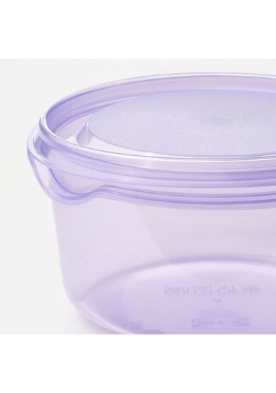 Ikea Pruta Plastik Saklama Kabı Seti, Lila-yeşil, 0,3 Lt, 2 Parça