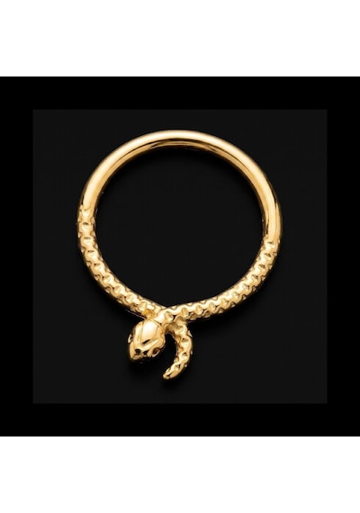 Yüksek Kalite G23 Titanium Yılan Altın Titanyum 8mm X 1.2mm Kilitli Halka Piercing