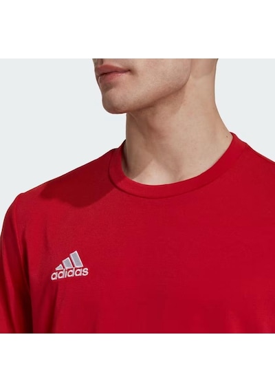 Adidas Hn5920 Ent22 Polytee Erkek Tişört 001