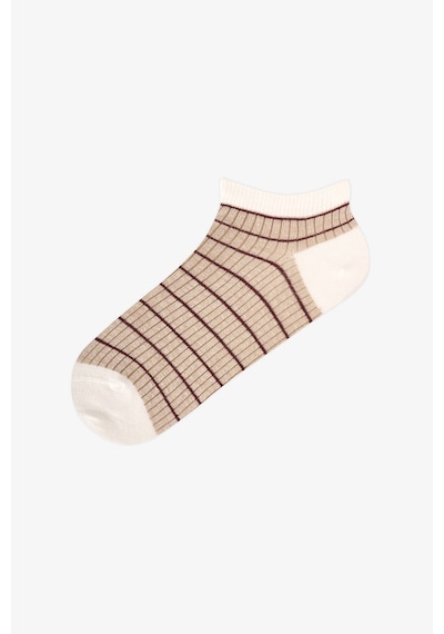 Penti Everyday Rib Stipe 5li Patik Çorap Bej Multi