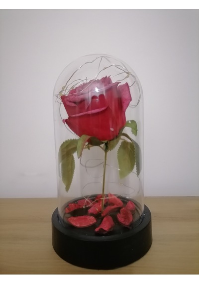 Kırmızı Gül Işıklı Fanus Sevgiliye Anneler Gününe Özel Hediye