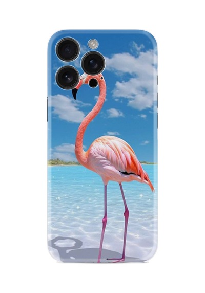 Apple iPhone Uyumlu Apple iPhone Uyumlu 16 Pro Kılıf Boutique Baskılı Resimli Okaynus Ve Flamingo Pcode -093