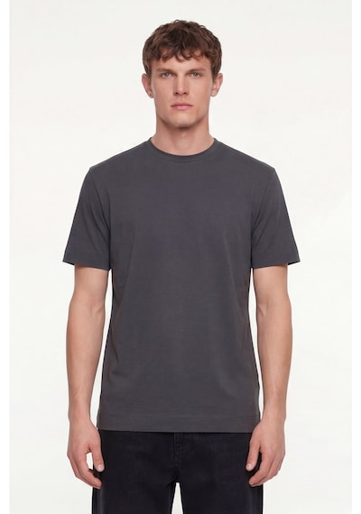 Sabri Özel Erkek Füme Normal Kesim Regular FitPamuk Dokuma Bisiklet Yaka Basic T-shirt