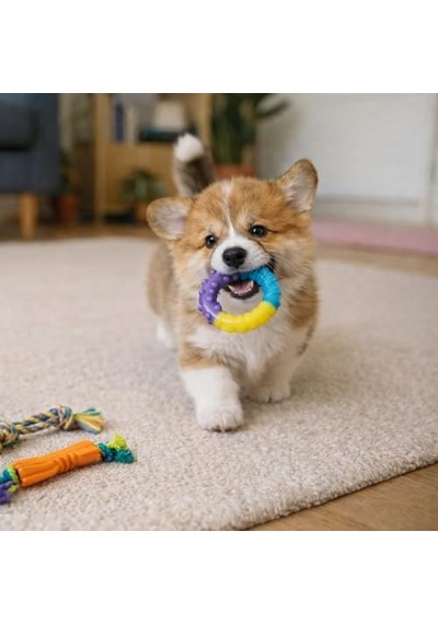 Petstages Küçük Köpekler Ve Diş Çıkarma Yavruları İçin Orka Diş Çiğneme Oyuncakları - 3'lü Paket
