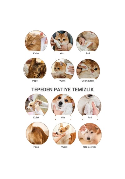 Greenwich Kedi Ve Köpek Hijyen Mendili 50'li Tekli Paket Yüz, Pati, Kulak Ve Arka Bölge Temiz