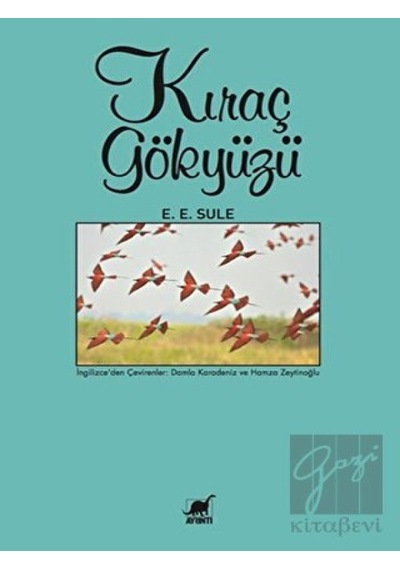 Kıraç Gökyüzü Ayrıntı Yayınları - Ayrıntı Yayınları