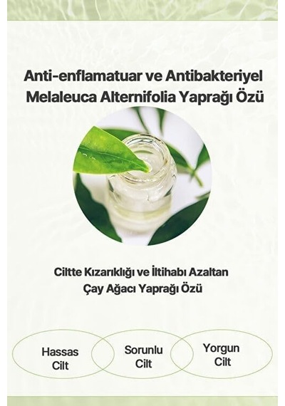 Byeolee Tea Tree Cilt Bakım Kremi 50 Gr
