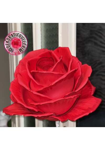50cm 50cm Eva Dev Güller 20mm Giriş 18cm Glop Organizasyon Ürünü