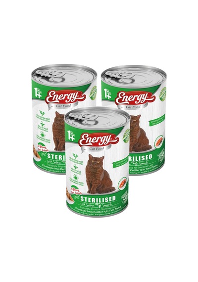 Energy Kısırlaştırılmış Somon Etli Konserve Yetişkin Köpek Maması 3 x 400 G