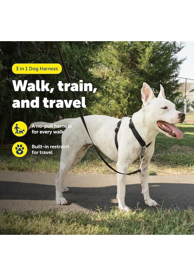 Petsafe The Makers Of The Easy Walk Harness, 3'ü 1 Arada Koşum Kayışı, Tamamen Ayarlanabilir, Çekmez Köpek Koşumu, Orta Boy Siyah Petsafe The Makers Of The Easy Walk Harness, 3'ü 1 Arada Koşum Kayışı, Tamamen Ayarlanabilir, Çekmez Köpek Koşumu, Orta Boy Siyah