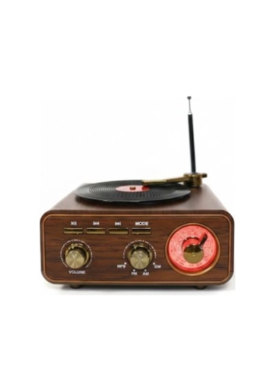 Everton Rt-1317bt Bluetooth Usb-micro Plak Radyo