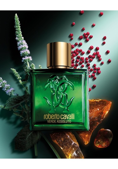 Signature Uomo Verde Assoluto Edp Erkek Parfümü 100 Ml Diğer