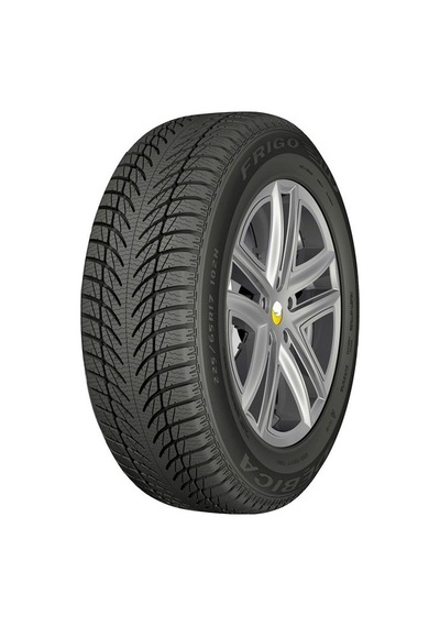 Debica 255/55 R18 109H Frigo Suv 2 XL Kış Lastiği 2023