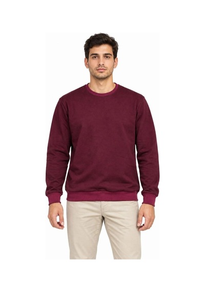 Erkek 3'lü Bisiklet Yaka İçi Şardonlu 2 İplik Düz Uzun Kollu Regular Fit Sweatshirt - Siyah - Bordo - Gri Çok Renkli