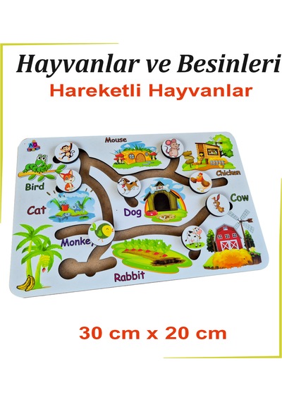 Beyaz Hareketli Hayvanlar Ve Besinleri