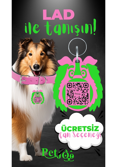 Petjoo 23.Lad Yeşil-Pembe Qr'lı Köpek Künyesi