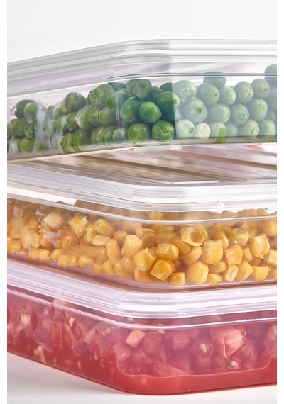 Deepfreezer Organizer Saklama Kabı Büyük 2.4 Lt 6 Adet Şeffaf