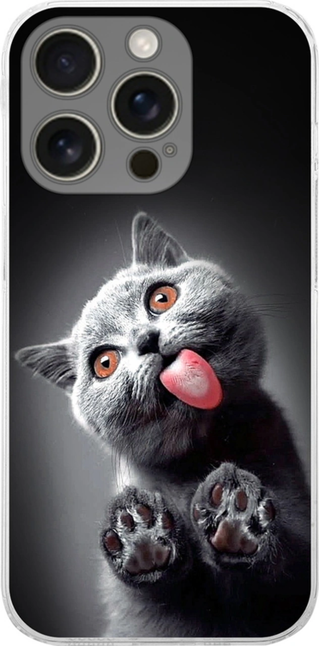 Apple Uyumlu iPhone 16 Pro İle Kedi 2 Baskılı Kamera Korumalı Şeffaf Kılıf