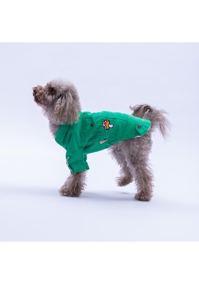 Yeşil Cancun - Cancún Ceket Gabardin Çıtçıtlı Kedi Köpek Ceketi Kedi Köpek Kıyafeti Kedi Köpek Elbisesi