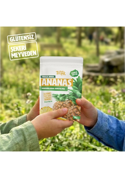 Dondurularak Kurutulmuş Ananas 20 G Freeze Dried Meyve Cipsi Çıtır Meyve Kurusu 6 Adet