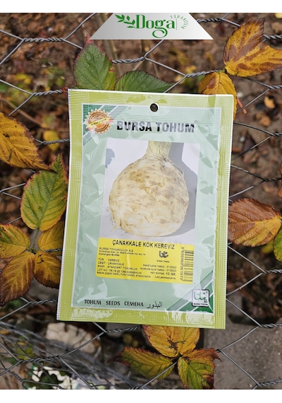 Kök Kereviz Tohumu