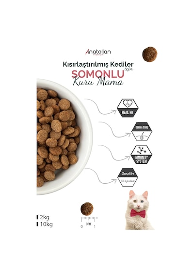 Anatolian Premium Kısırlaştırılmış Somonlu Yetişkin Kedi Maması 2 KG