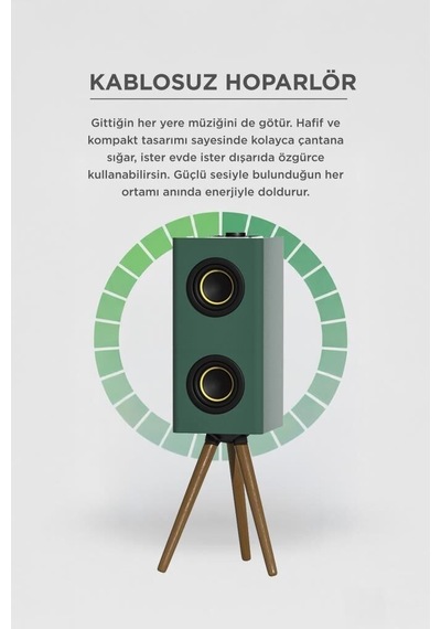 Salon Aracı Parti Cihazı Kablosuz Hoparlör 24w 3000mah Taşınabilir Ayaklı Speaker D67 Yeşil