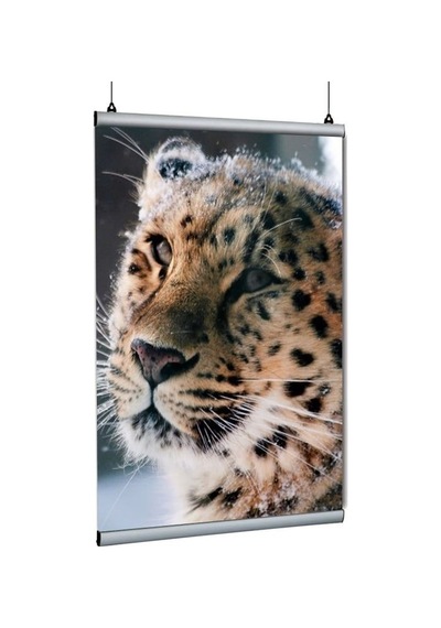Poster Tutucu Clamp 30cm 5li Paket
