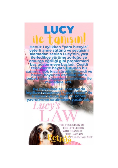 Petjoo 11.Lucy Sarı-Mavi Qr'lı Köpek Künyesi