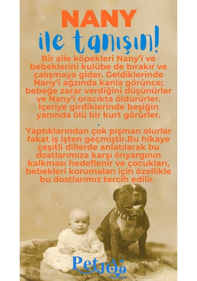 Petjoo 17.Nany Mavi-Turuncu Qr'lı Köpek Künyesi