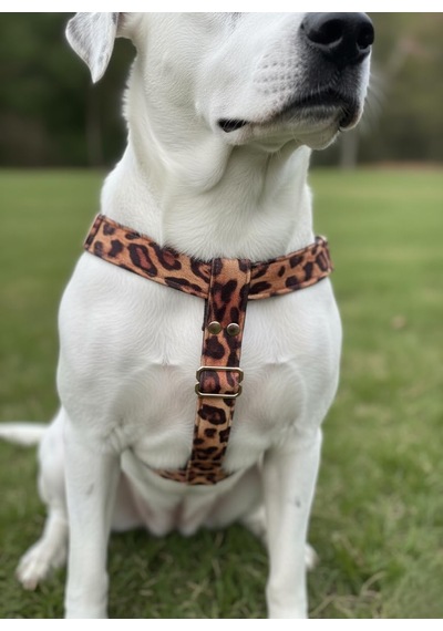 Köpek Göğüs Tasması Büyük Irk Ayarlamalı Kolon Kordon Ve Kadife Bal Köpüğü & Siyah Köpek Göğüs Tasması Büyük Irk Ayarlamalı Kolon Kordon Ve Kadife Bal Köpüğü & Siyah