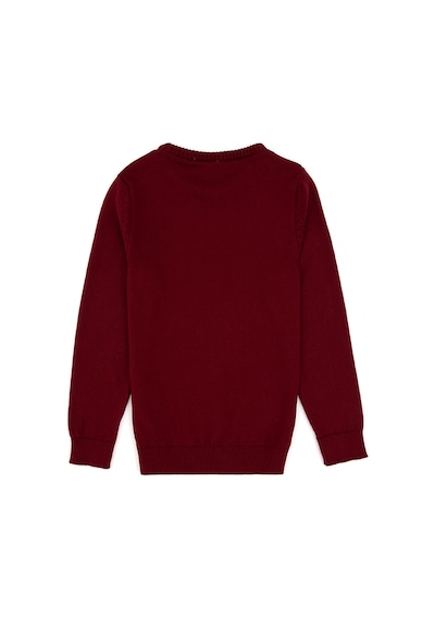 U.S. Polo Assn. Erkek Çocuk Bordo Bisiklet Yaka Basic Kazak 50315586-VR014