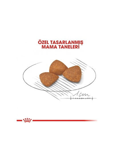 Royal Canin Mini Tavuklu Küçük Irk Yaşlı Köpek Maması 1500 G