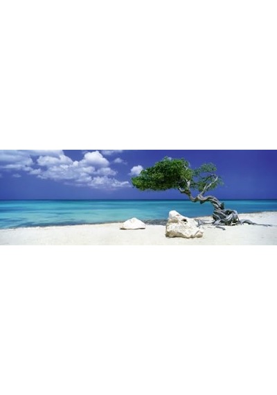 Heye Puzzle 1000 Parça Divi Divi Tree Hey29399