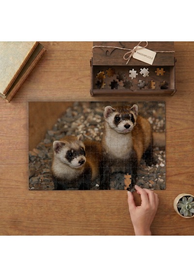 Kara Ayaklı Gelincikler Tasarımı 240 Parça Ahşap Puzzle Ahşap Kutuda Mpy40024
