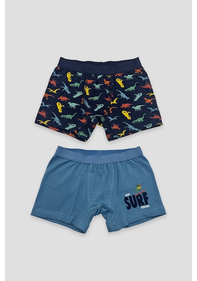 Defne Baby Erkek Çocuk Deseli Premium Pamuklu 2'li Boxer Seti Çok Renkli