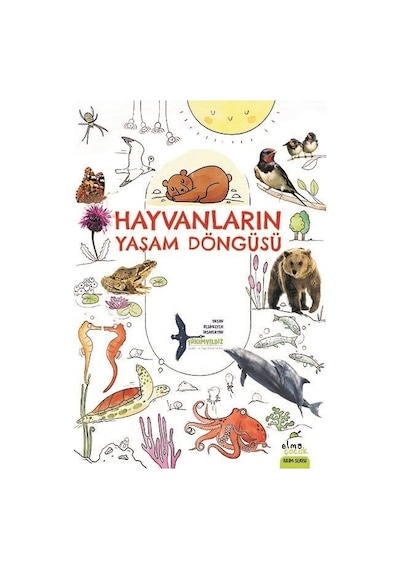 Hayvanların Yaşam Döngüsü  - Takımyıldız  - Elma Yayınevi