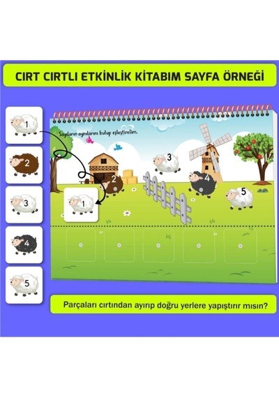 Yükselen Zeka Cırt Cırtlı Etkinlik Kitabım 16-24 Ay ve 2-4 Yaş