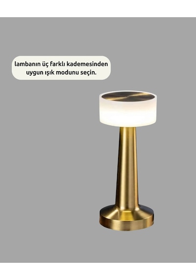 Dekoratif Masa Lambası Çok Renkli 35162731