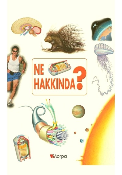 Morpa Okulöncesi - Ne Hakkında