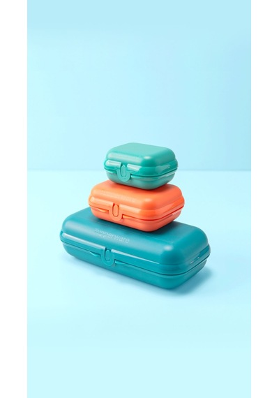 Tupperware  Buzdolabı Gıda Saklama Kabı 3'lü Set Renkli