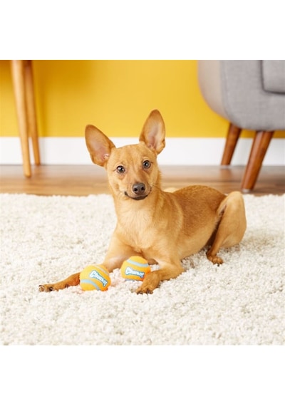 Chuckit 2'li Köpek Tenis Oyun Topu Orta Boy 6.4 CM