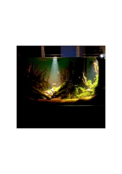 Nano Spot Led 5v / 3w Mercekli