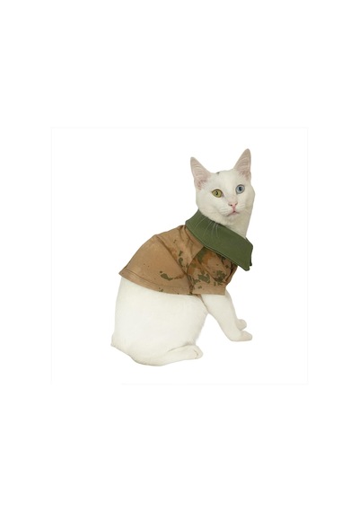 Kemique Komando Polo Yaka Tişört Kedi Kıyafeti