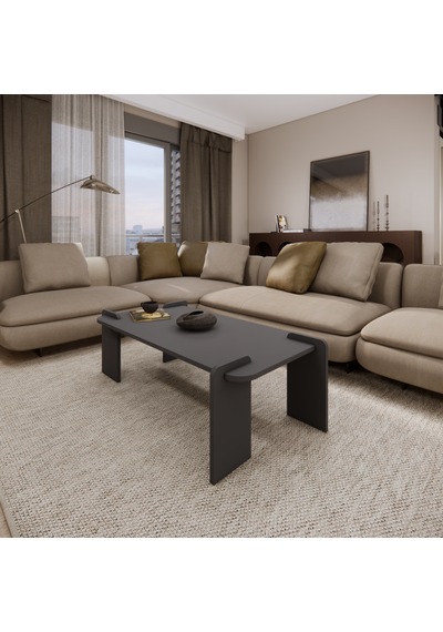Odaco Fuji Modern Premium Oval Ayaklı %100 Mdflam Salon Orta Sehpa 120x60x40 Cm Antrasit